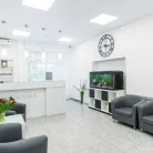 Стоматологическая клиника Аполлония Фотография 16